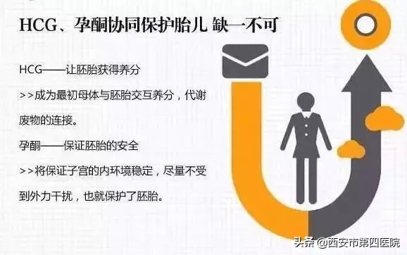 孕酮低hcg翻倍正常有关系吗,hcg孕酮和雌二醇单位换算