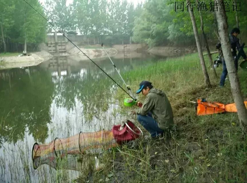 钓鱼记录2019,最新的钓鱼日记