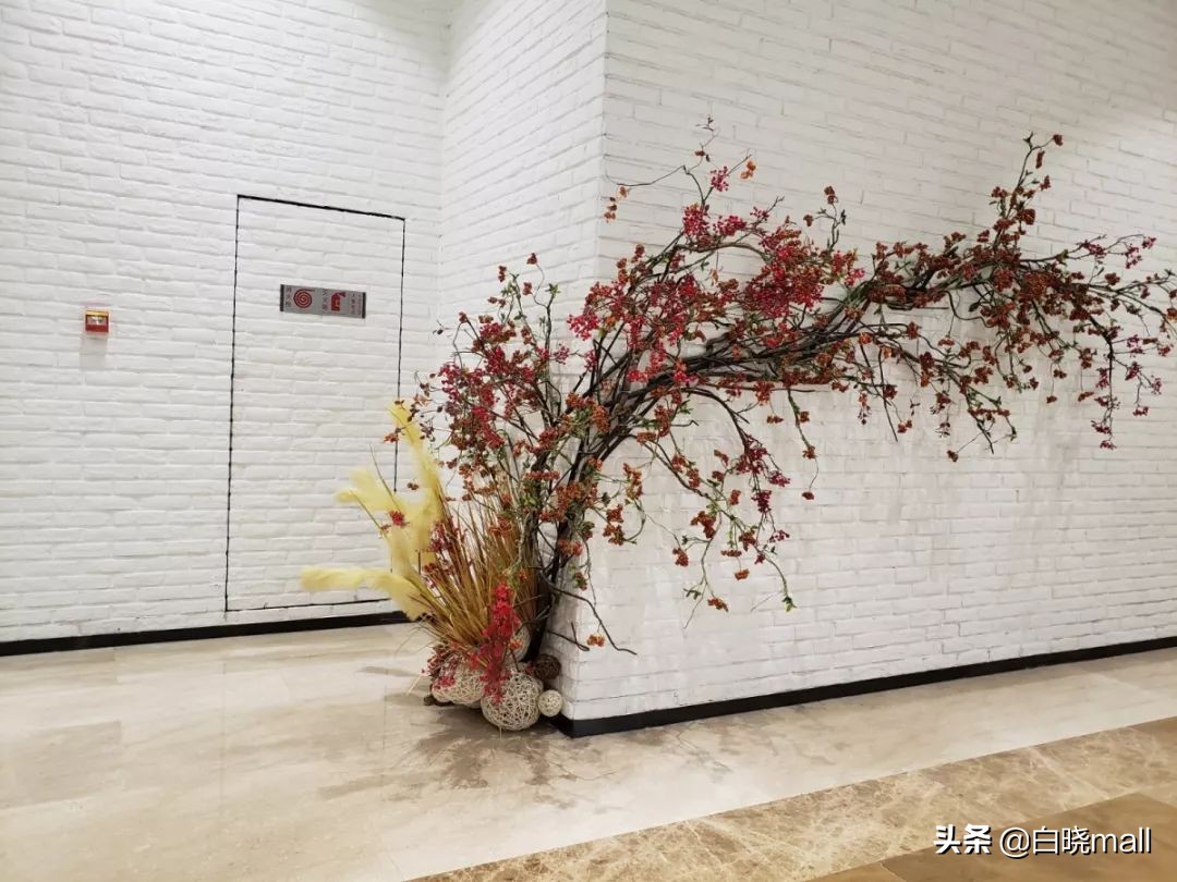 北京南城大型购物中心哪家最好,北京大族广场楼层品牌