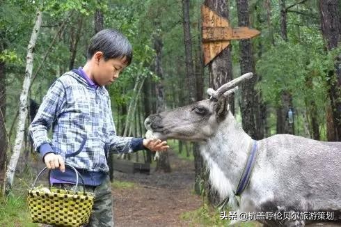 自驾游内蒙草原需要注意什么,带孩子去草原旅游必备物品