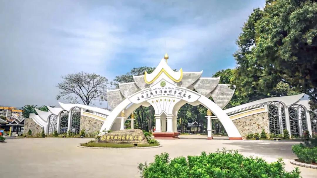 美丽云南(第二季)|黎明之城万物原乡——美名:西双版纳·景洪市