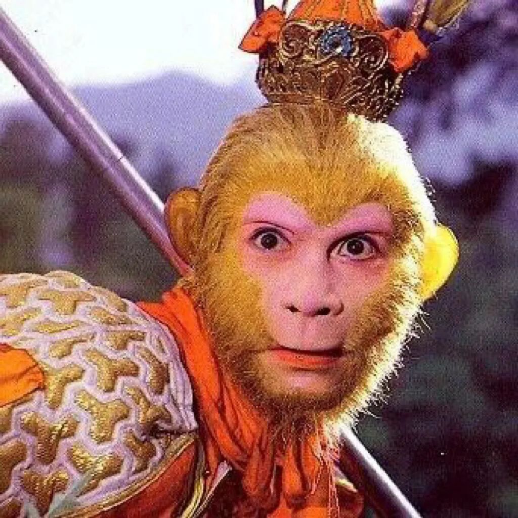 绝对是你想要的头像,找一个好的微信头像