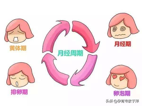 青岛专家于萍简介,青岛于萍个人资料