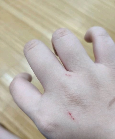 猫咪晚上特别吵屡教不改怎么办,猫咪脾气暴躁有哪些原因