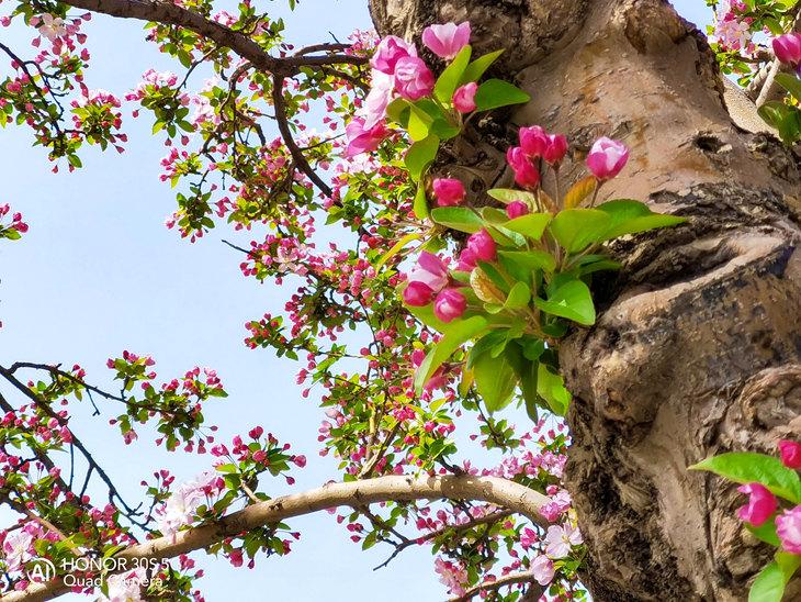 3倍长焦镜头拍视频,300mm手机长焦镜头拍人像效果欣赏