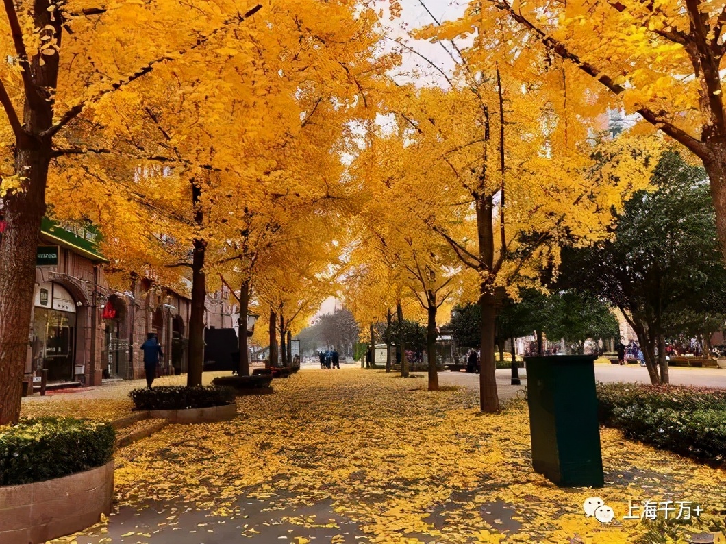 古北现在有人吗,古北还留得住人吗