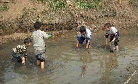 我的童年随州作者王从伦