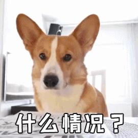 网警提醒来电,收到网警发来的提示信息