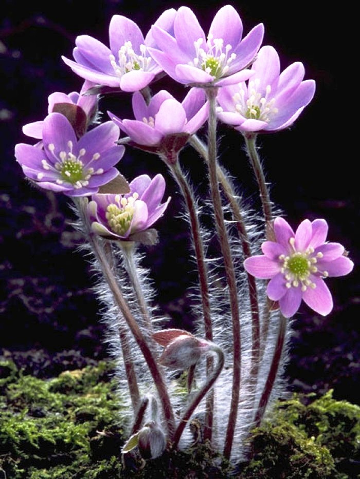 阳光乐观正能量的说说,励志语录经典感悟人生说说