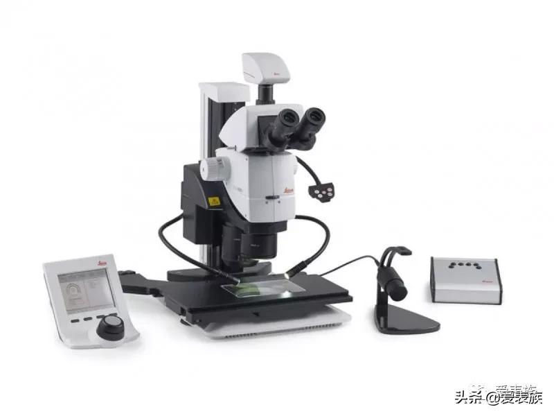 二十万内盘面最强？显微镜实拍GrandSeiko雪花面