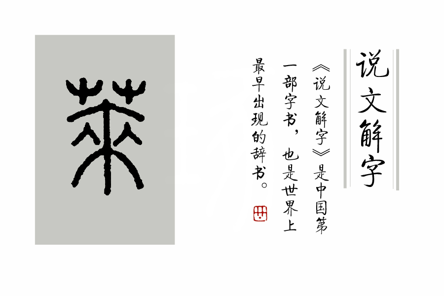 《说文解字》第105课：如何准确理解“蒹葭苍苍”？