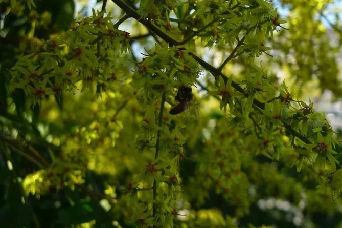 绉嬫棩绗旇鐩存挱,绉嬫棩绗旇