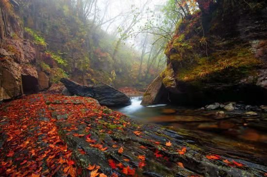 抓住秋天的尾巴走进冬天,抓住秋天的尾巴寻最后一抹金黄