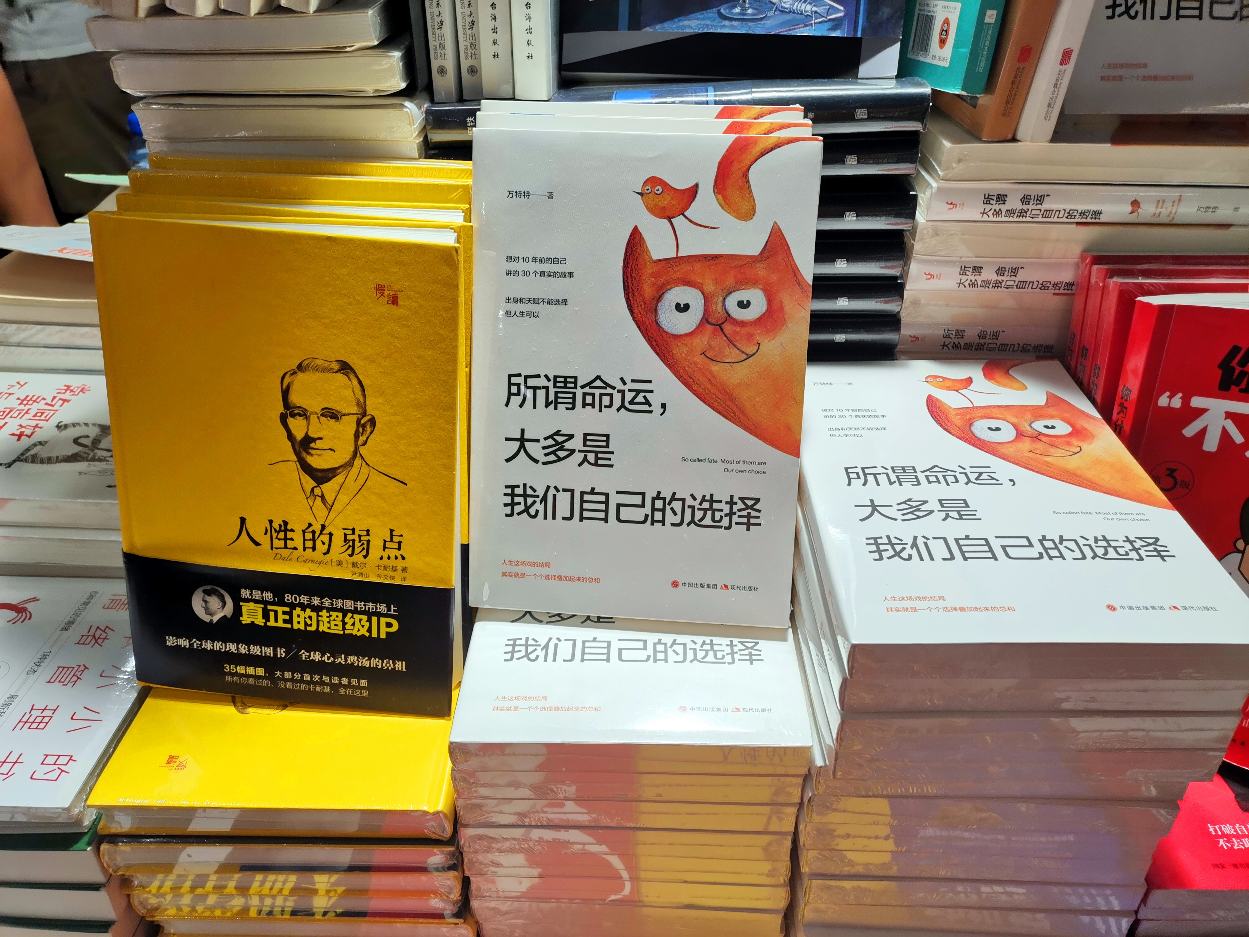 涓句笘鐨嗘祳鎴戠嫭娓呬紬浜虹殕閱夋垜鐙啋,浼椾汉鐨嗛唹鎴戠嫭閱掍竴钃戠儫闆ㄤ换骞崇敓