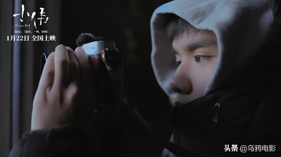 横扫电影节奖项,横扫国际影展