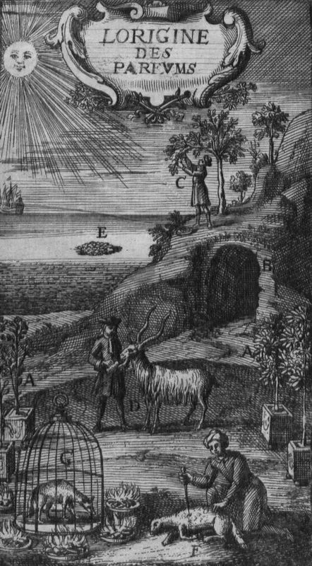 欧洲贵族喷的香水是什么,欧洲贵族喷的香水叫什么