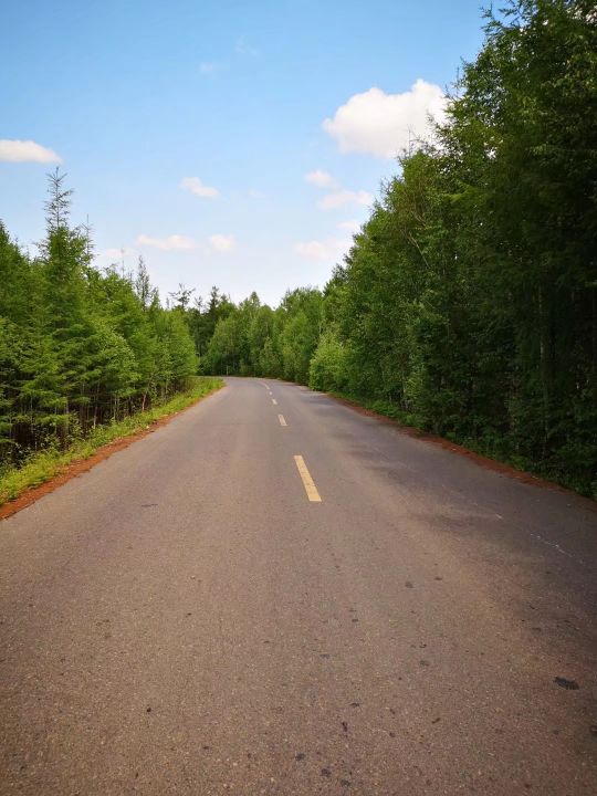 哈尔滨海拉尔呼伦贝尔旅游游记,哈尔滨漠河满洲里旅游攻略