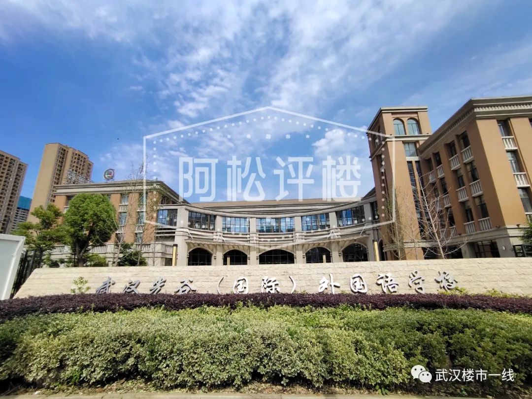 开挂了！比肩世界的爆款区域利好多到数不清！一般人已高攀不起