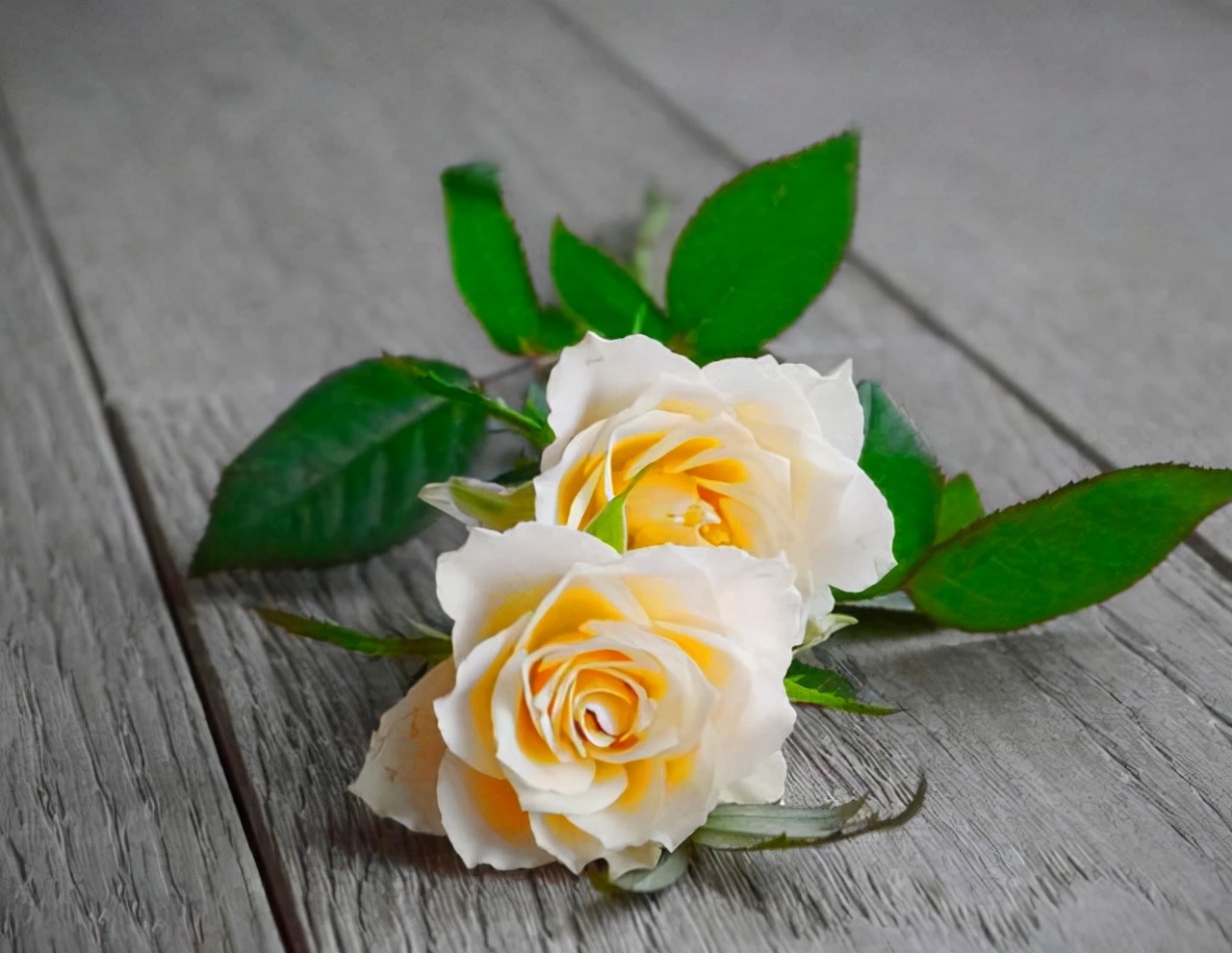 遭遇背叛后你最应该做的事,假如遇到背叛你要怎样处理