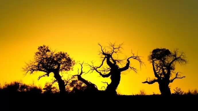 李叔同送别写作年代,送别李叔同原文写作时间