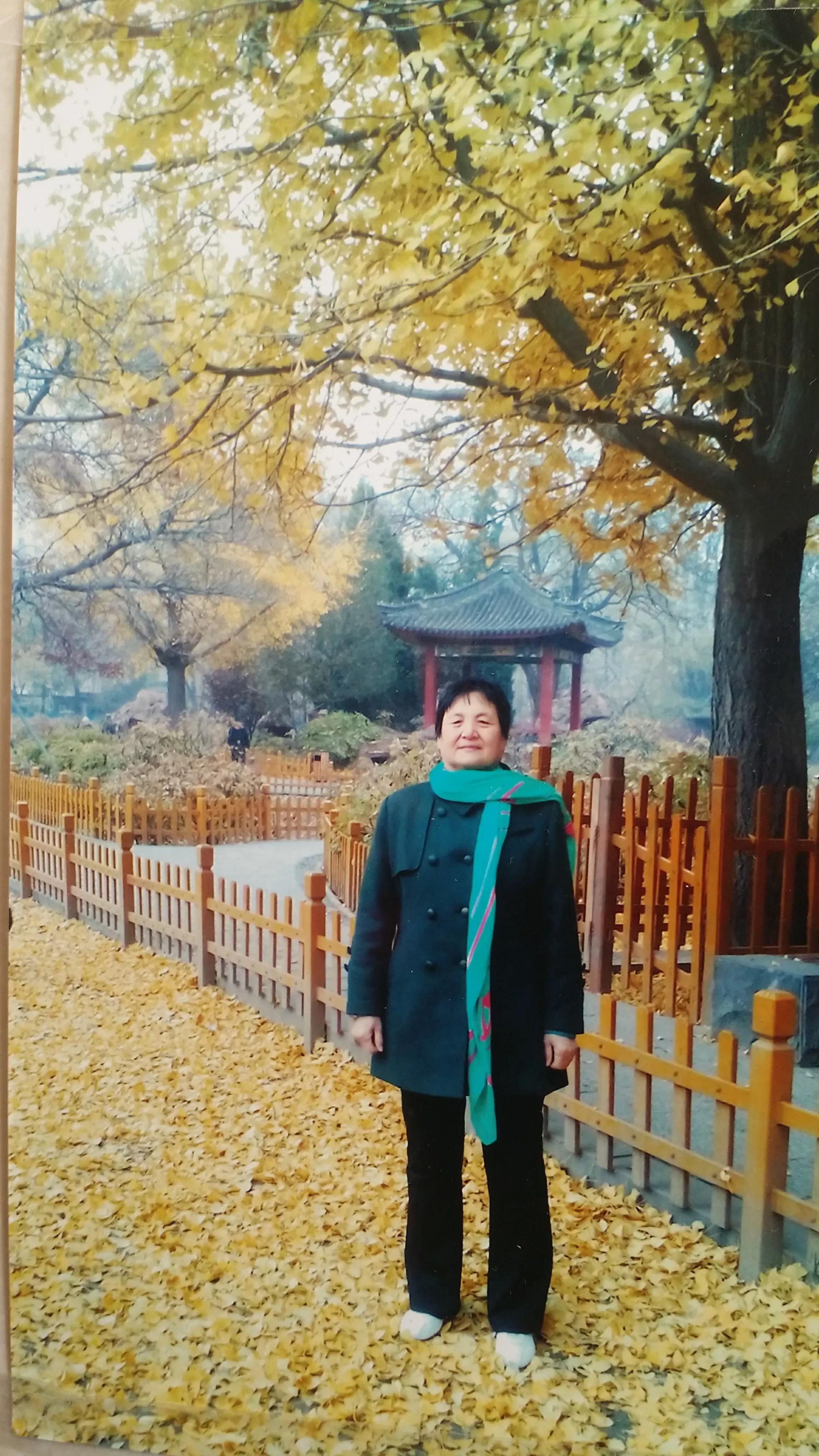 当我老了我的健康我做主