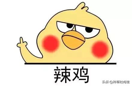 抖音雷品怎么买,抖音踩雷产品