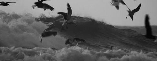 中基周巨乐发家史,宁波中基集团周巨乐身家