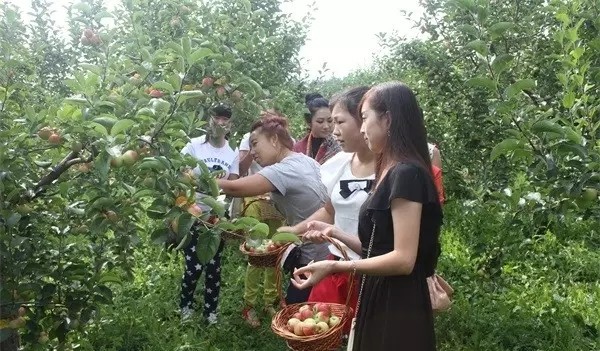 秋天的第一波大“瓜”终于藏不住了