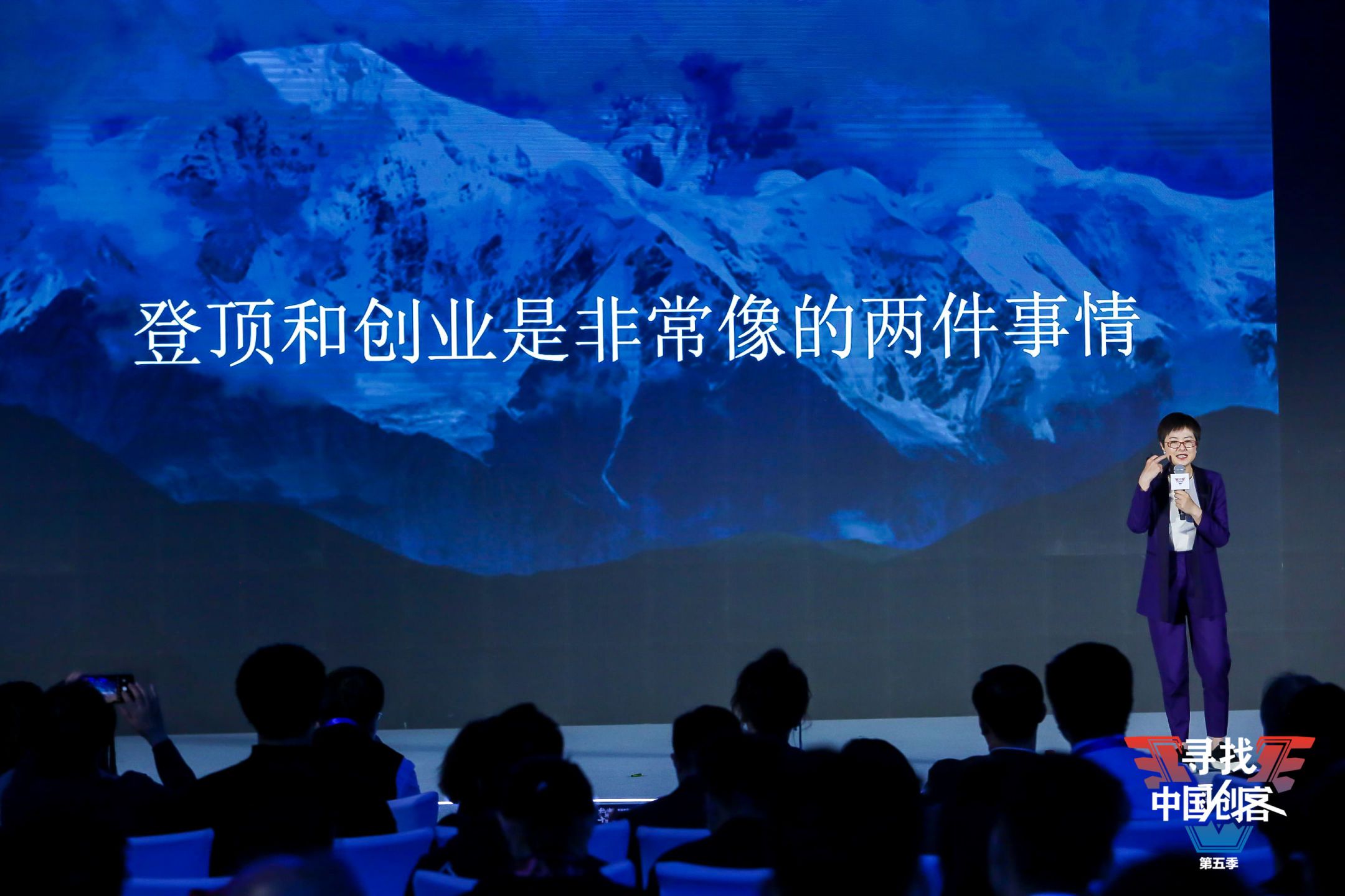 张泉灵紫牛基金,紫牛基金创始合伙人