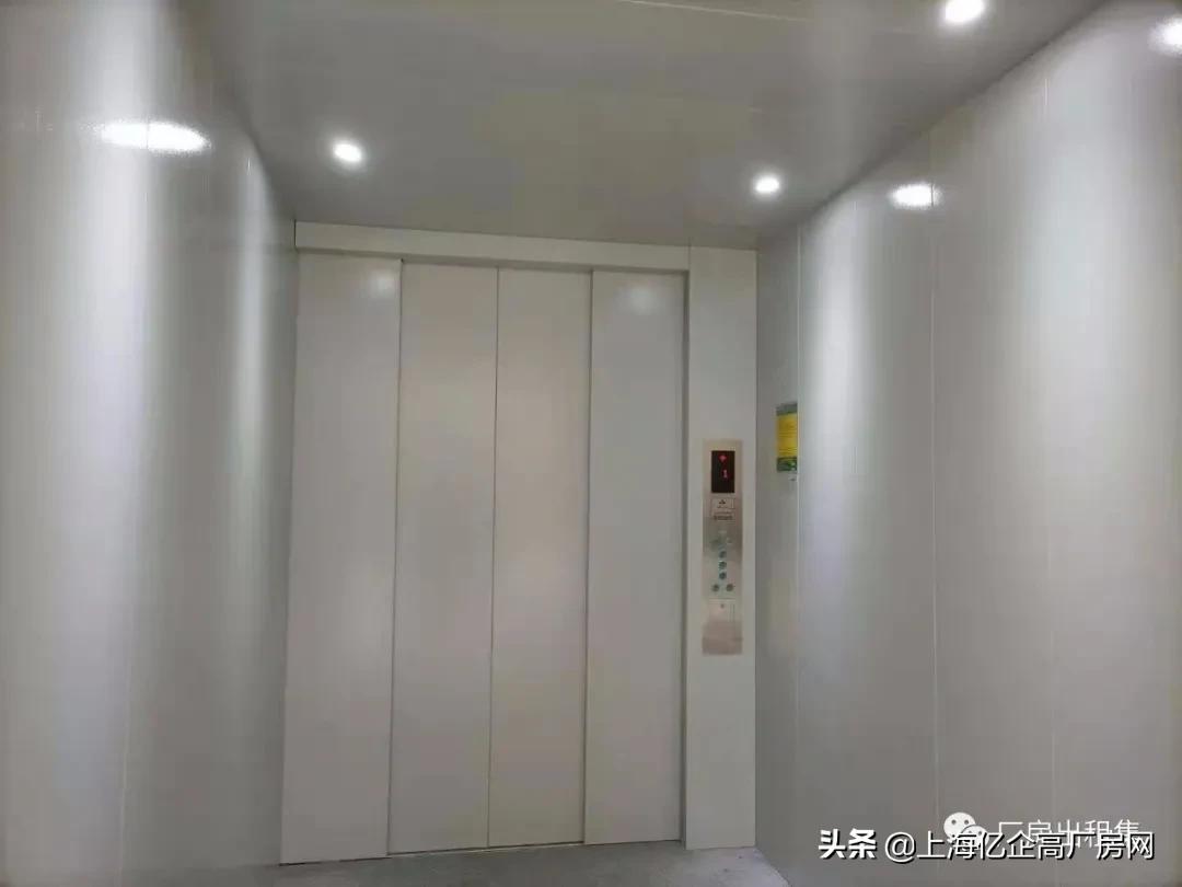 青浦区华新镇厂房出租最新消息,青浦华新镇华腾路厂房出租