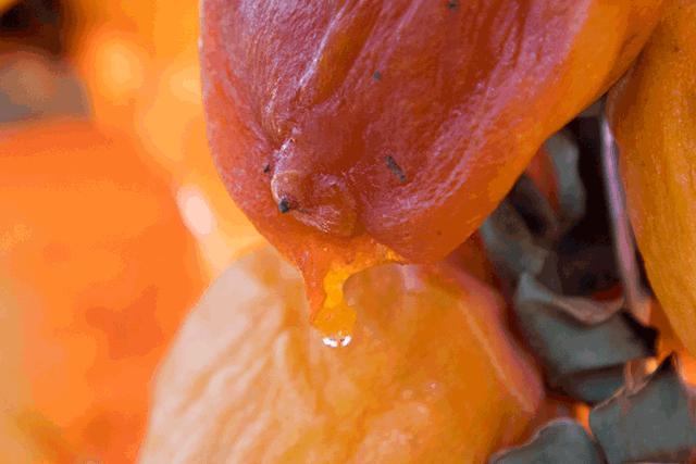 正宗的富平柿饼知识普及，记得收藏