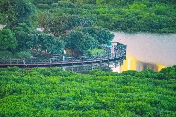 澄迈，一座宁静淡雅的小城