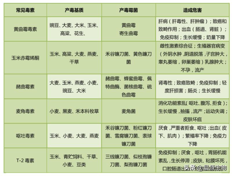 猪场霉菌毒素感染的症状,猪场频繁出现链球菌是怎么回事