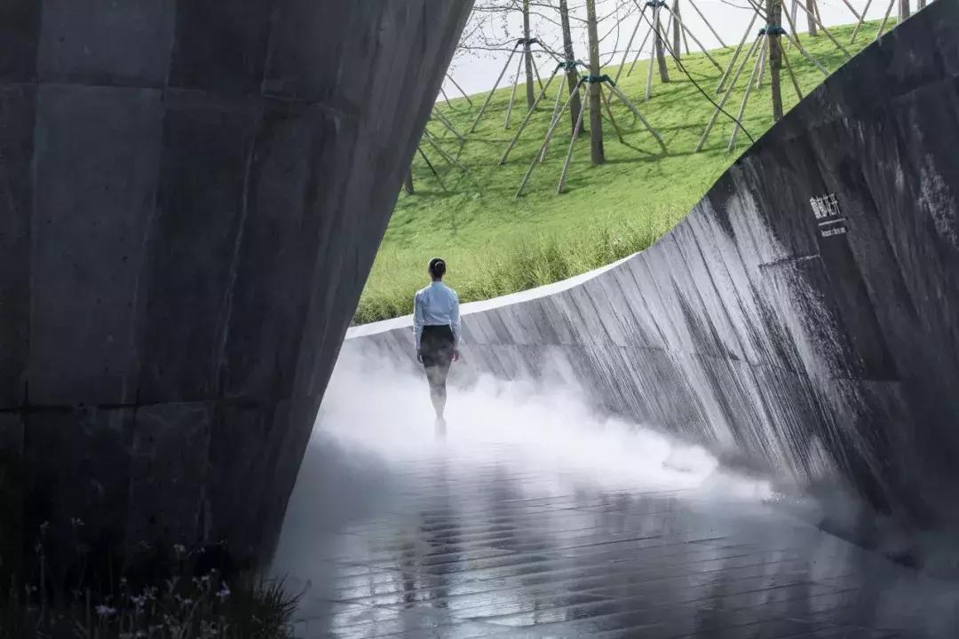 当景观遇上设计,当景观植物遇见灯光