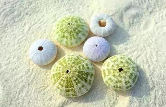 城市印象小区好不好,城市印象海安