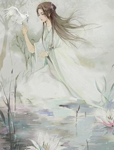 执子之手诗经典语录,诗经中对执子之手与子偕老的感悟