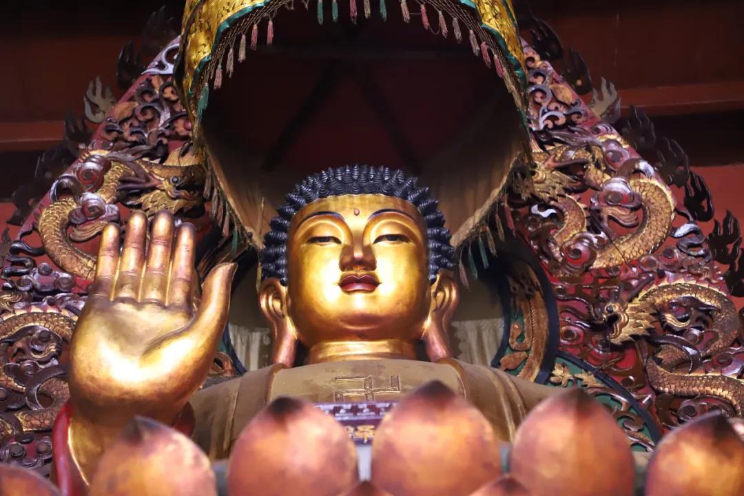 佛教的四如意足是什么意思,佛教的四无量心