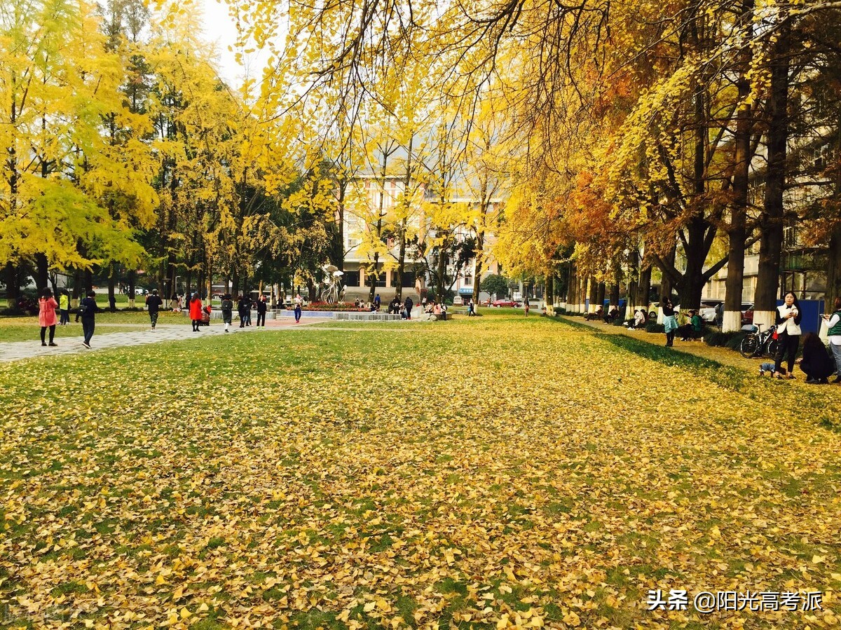 河北211大学排名及录取分数线,211大学名单排名和录取分数线河北