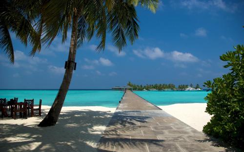 马尔代夫旅行记全集,马尔代夫旅行记2