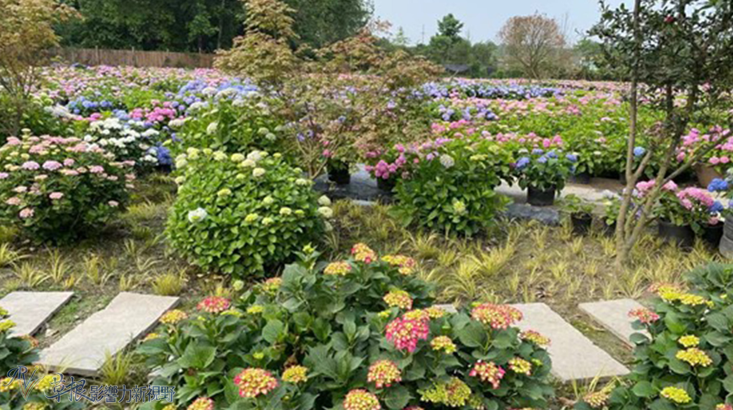 中国最美乡村竹子沟风景区,中国四大顶级风景村