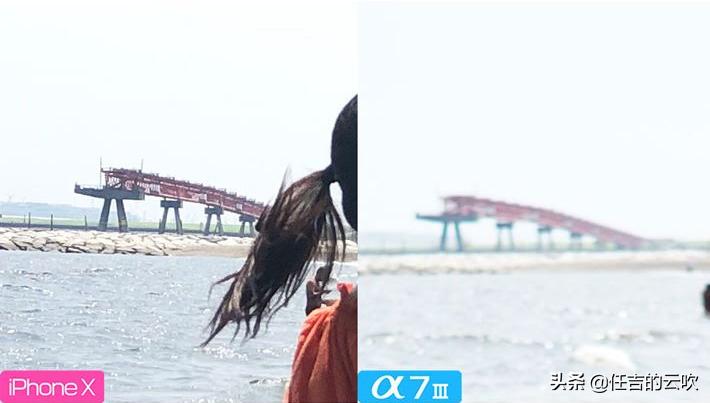 相机跟手机拍出来的照片差的大吗,相机跟手机拍照的差距