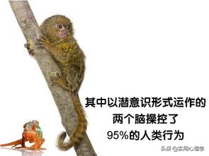 勇敢承认是自己错了,承认错误就真以为你错了