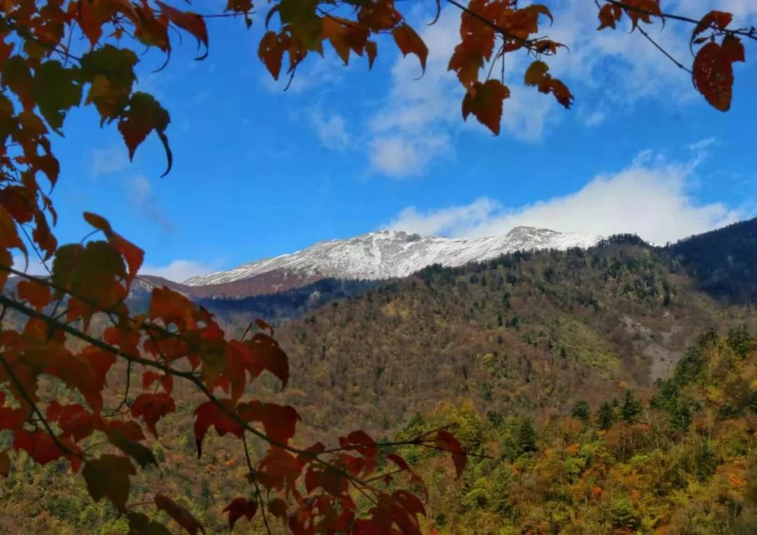 绉嬪ぉ鏉ヤ簡鎴戝湪绛変綘鏈楄,绉嬪ぉ鏉ヤ簡鎴戝湪鍐ぉ绛変綘