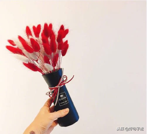 每日经典语录简短,短小金句语录