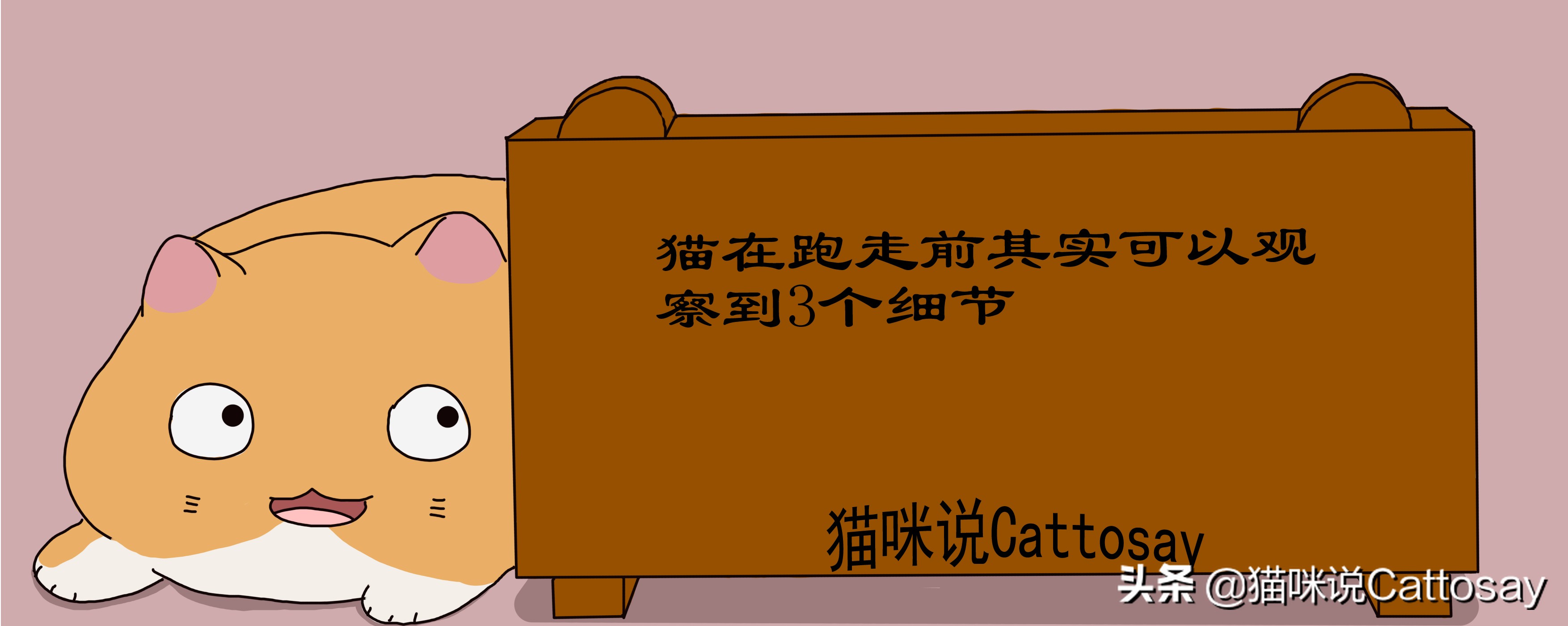 铲屎官出门了猫一直守着,铲屎官回家猫和狗的迎接方式