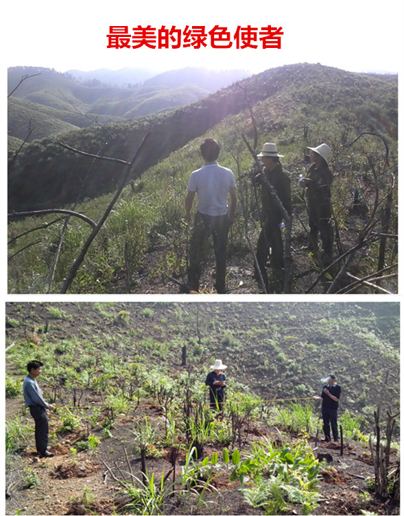 林业礼赞——世界最后一滴水将是人类的眼泪吗