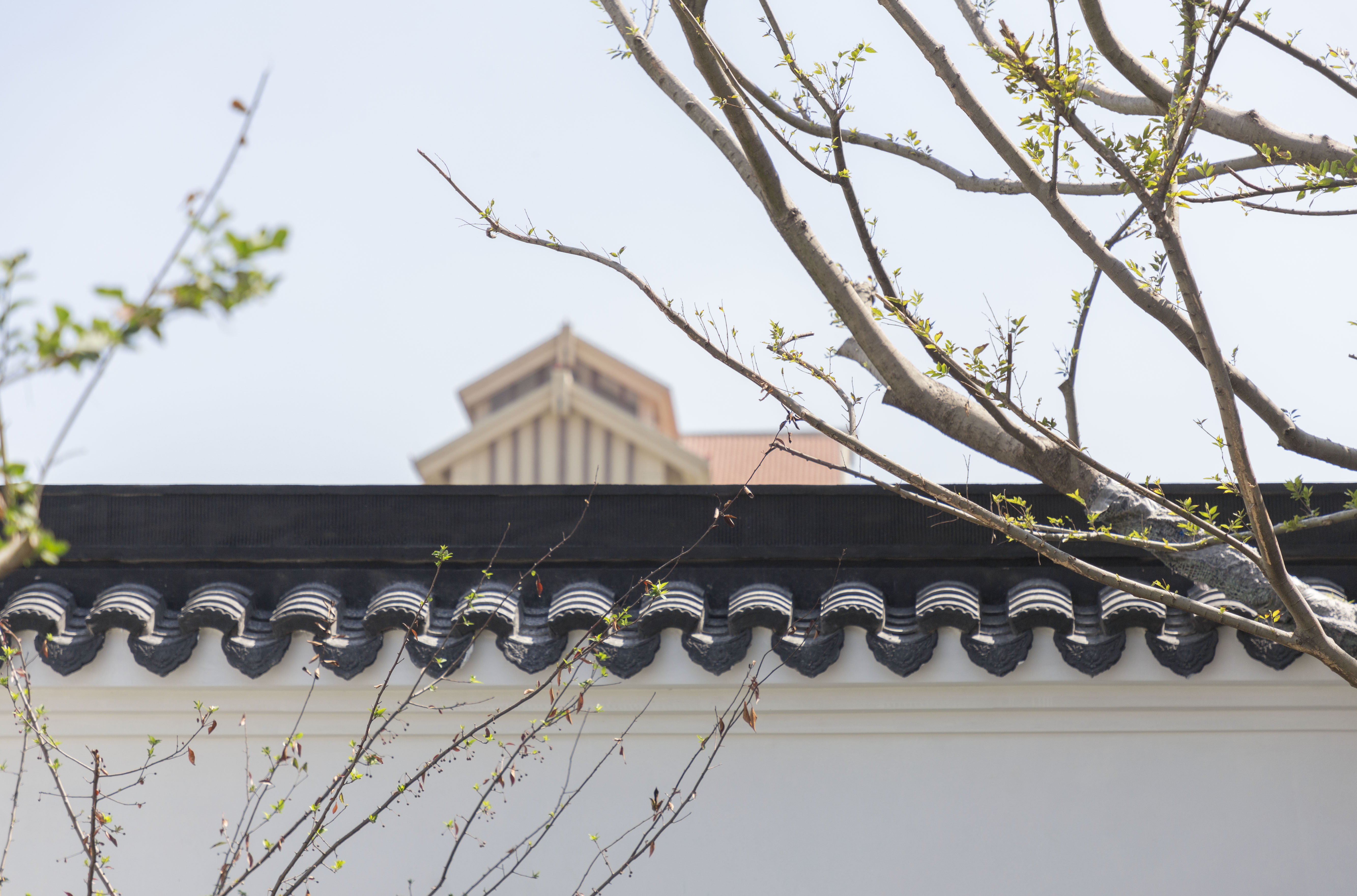 白鹭郡南底跃优缺点,白鹭郡南怎么样