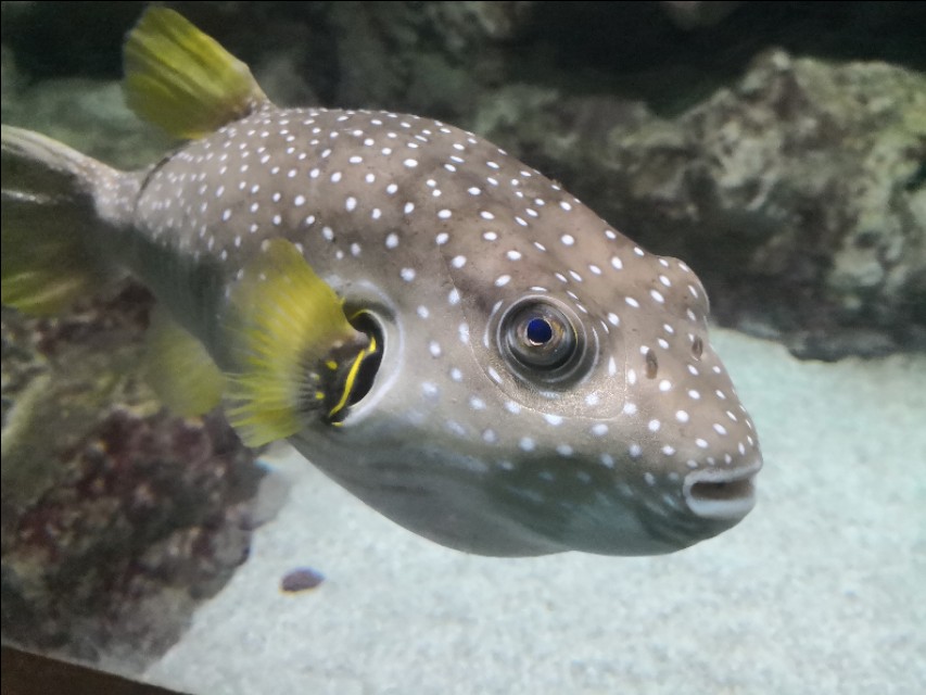 北京工体富国海底世界周一营业,北京工体富国海底世界旅馆