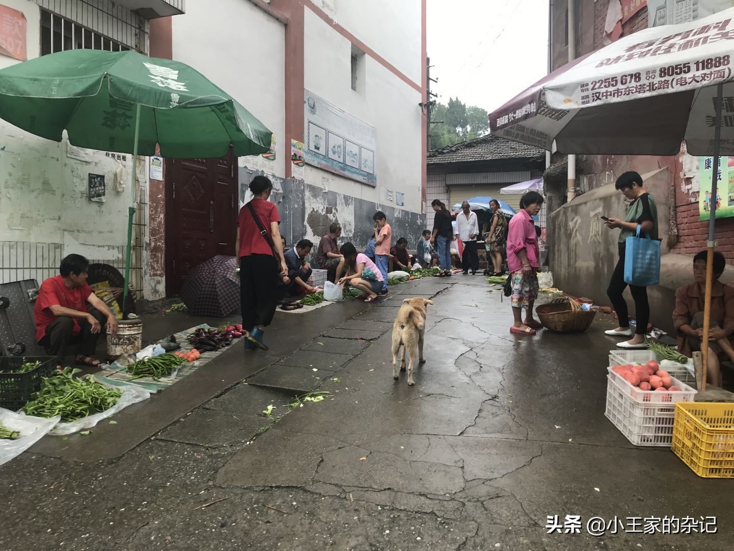 大山里，有一趟可以赶集的绿皮车|8361次汉中—阳平关