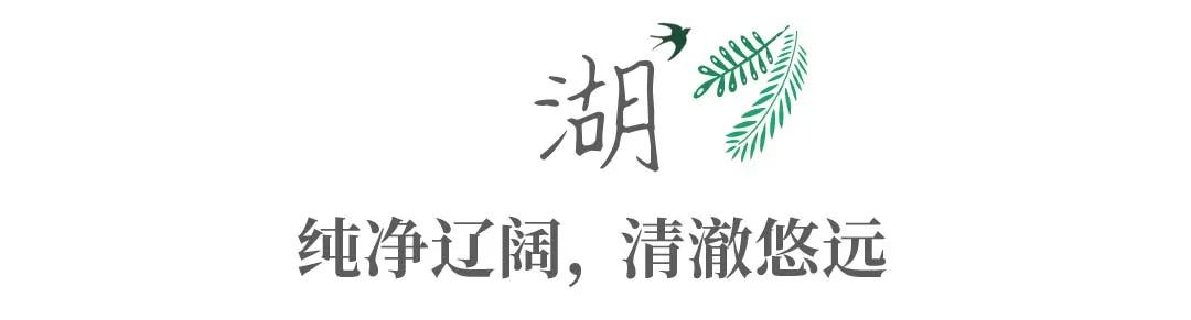 带你Get《司藤》同款神仙美景，春天的香格里拉这样玩